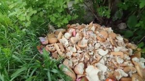 Новости Кирова 21.05.2025