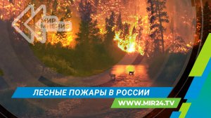 Где самая сложная ситуация с лесными пожарами в России?