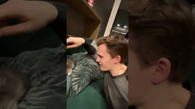 Поход к ветеринару с котенком в Польше смотреть онлайн