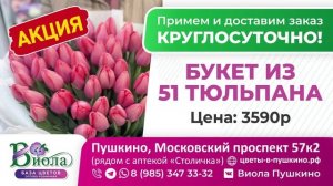 ТРАНСМЕДИА – База Цветов "Виола"