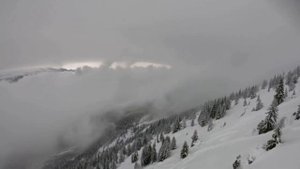 Jayzandar - Mergen Teldenov #Музыка#Music#горловоепение#танцы#guttural sing