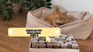 Делаем игрушку для кота, своими руками. Часть 2