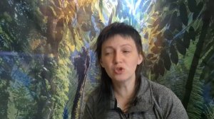 Обзор на Best dinner для мелких собак, гипоаллергенный блин