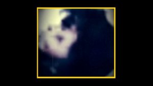 Посмертное фото Виктора Цоя или очередной фейк.