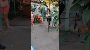 Алматы.Коррекция поведения собаки.Возраст и порода со