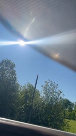 Весеннее утро/spring morning