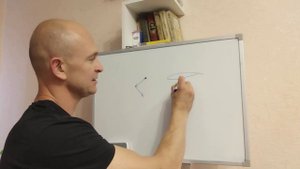 Как работает крыло птицы. Краткий разбор