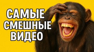 Смех до слёз: лучшие приколы №145