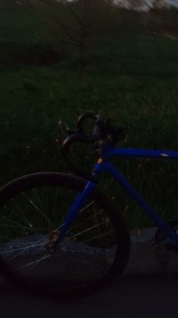 На волне скорости: велосипедные гонки и приключения в движении Velosvet: My adventures on two wheels