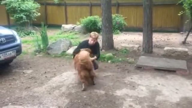 Захар. В добрые руки! смотреть онлайн