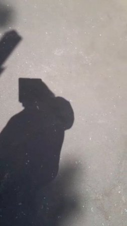 УКРАЛ КОЛЬЦА: во дворе домов №166 и №168 по улице Беговой мужчина снял баскетбольные кольца.