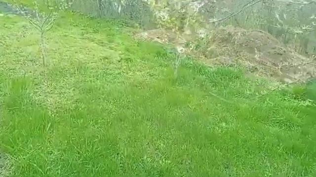 Незнакомец оказался хорошим массажистом