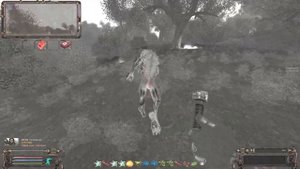 S.T.A.L.K.E.R ОП-2.2 Забытый Лес Нож Акила