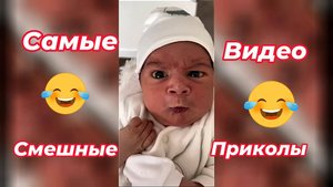 Самые смешные видео приколы