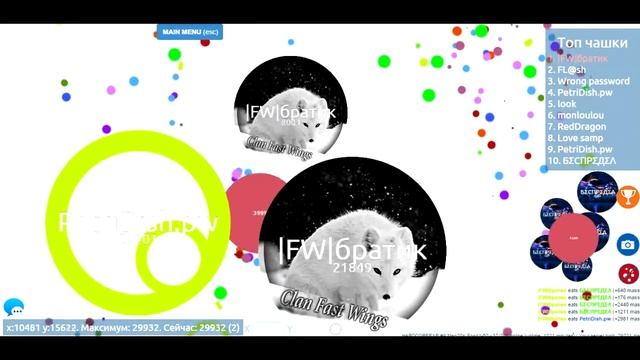 Чашка Петри Боги Тима :D смотреть онлайн