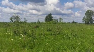 С сеттером в полях