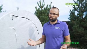 Помидоры в стальном парнике Агрощит | Сибирский Агроном