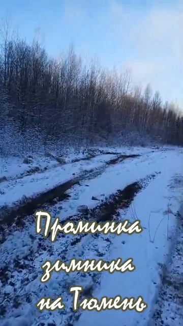 Проминка зимника на Тюмень #дороги севера #зимник  #зимник на Тюмень  #дорога жизни