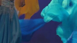 Show belly dance with silk veil.Восточный танец с велами . Show bellydance.