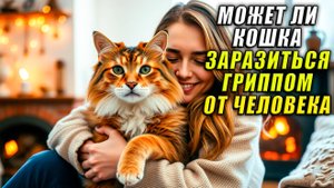 Может ли Кошка Заразиться от Человека Гриппом