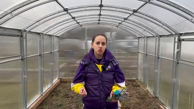 Как вырастить капусту через рассаду в теплице. Сорта и смотреть онлайн