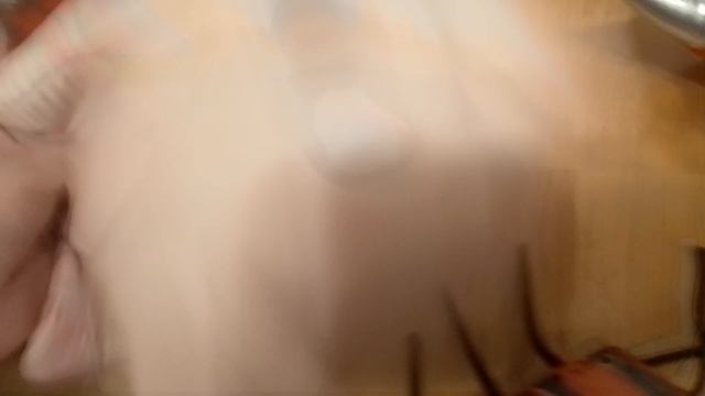 4 сезон 1 серия захотели улететь на Мальдивы