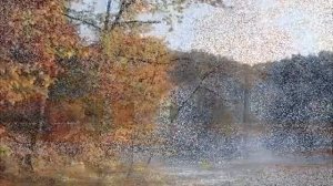 Осень Осень Раз Два Три.