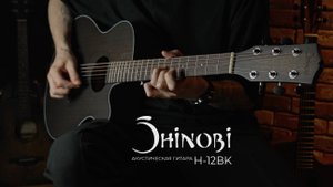 Характеристики и звук за минуту: обзор акустической гитары Shinobi H-12/BK