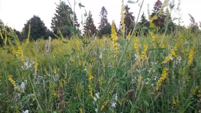 Мой чайный рай. Дом в деревне смотреть онлайн