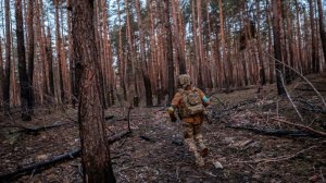 Боевики "Айдара"* развернули крематории на границе ДНР и Украины