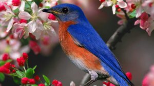 Красивый Нашид 🌿❤️23-05-2025г