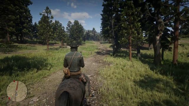 Red Dead Redemption 2 - ПОймать чёрного жеребца