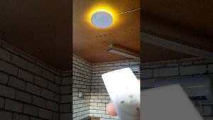 Обзор на Авгрению