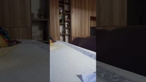 не ведитесь на провокаторов.Турки наши братья