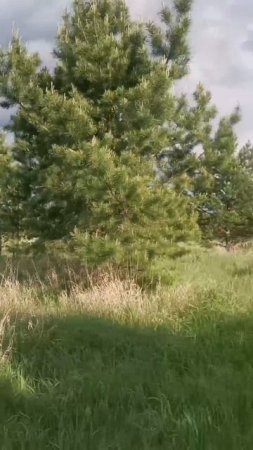 Участок 11,07 соток в с. Исетское Каменского района
