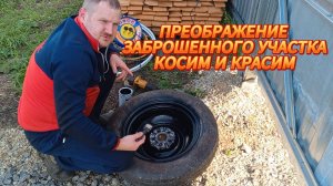 РАЗМЫШЛЕНИЯ ПО ПОВОДУ ЗАВЕСТИ ИЛИ НЕТ ПТИЧЕК