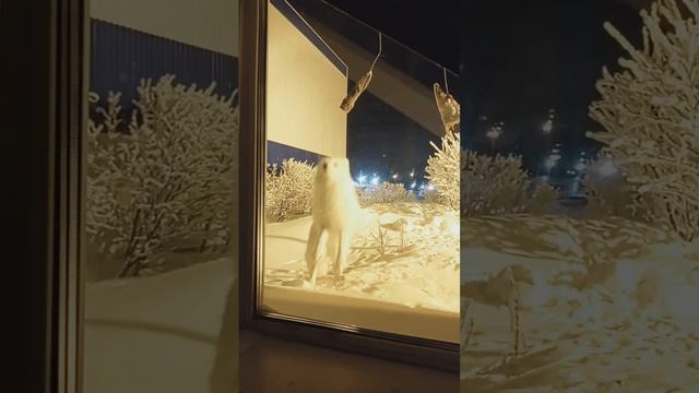 Отработка норматива, Сесть-Встать... Working out the standard, Sit Dow смотреть онлайн