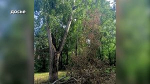 Новости Кирова 22.05.2025