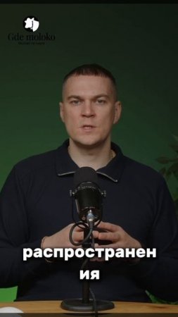 Сено. Кормить или нет?