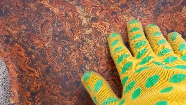 Очередная чаша из капа , тополь белый , но красный с зах смотреть онлайн