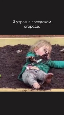 Один бокал, не больше)
