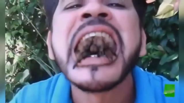 взрослые приколы )) смотреть онлайн