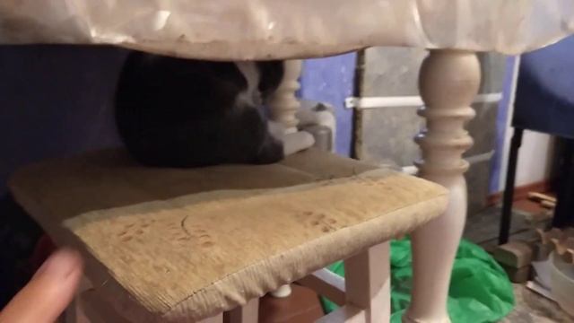 Кто сидел на моём табурете? Кто ел из моей тарелки? Кто смотреть онлайн