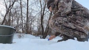 ловля щуки на жерлицы