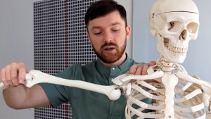 Боль в плече? Разбираем анатомию и биомеханику сустав?