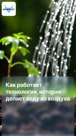 Технология, которая делает воду из воздуха! Как это работает?