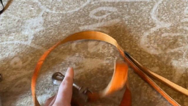 Амуниция моей собаки смотреть онлайн