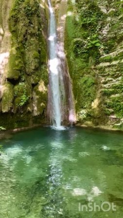 Куда сходить в Сочи? Лазаревский район. Мамедово ущелье. Водопад Любви. #водопад #лес #поход #shorts