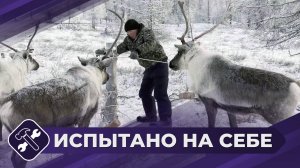 Испытано на себе: Оленеводы (часть 2)