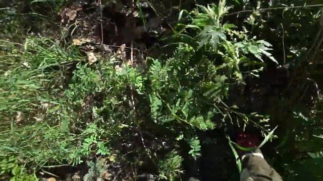 Металлокоп в мае. Всё труднее искать места с металлом. смотреть онлайн